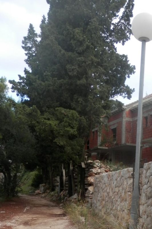 lopud14