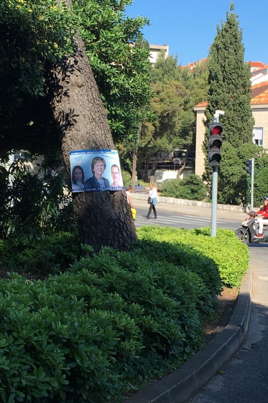 dds terezina stablo plakat1