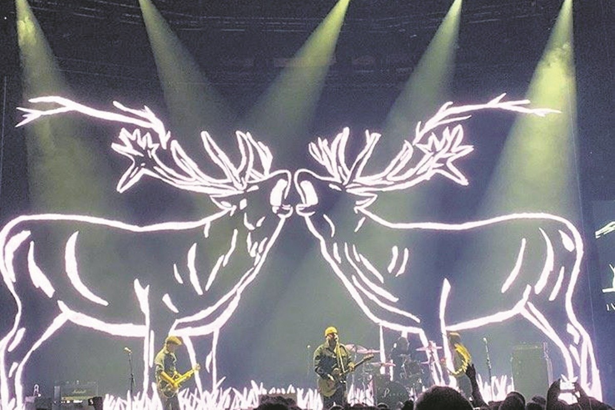 c Pixies Caribou