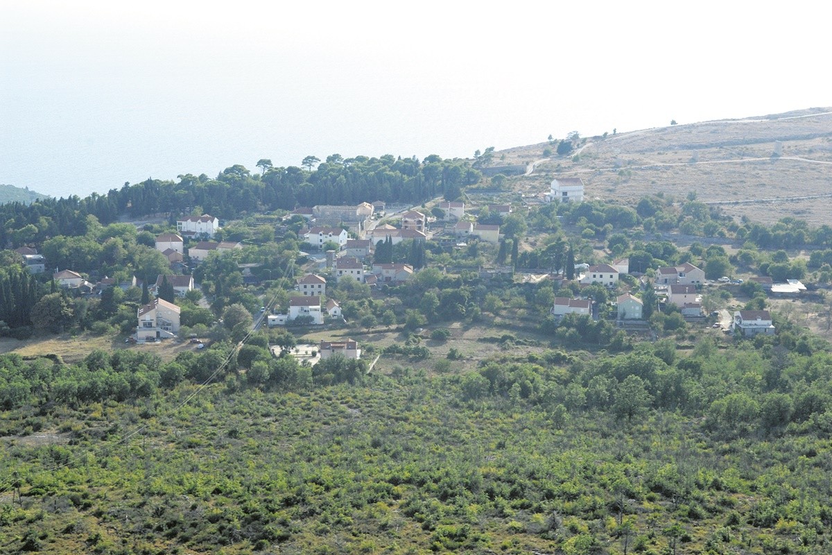 c bosanka