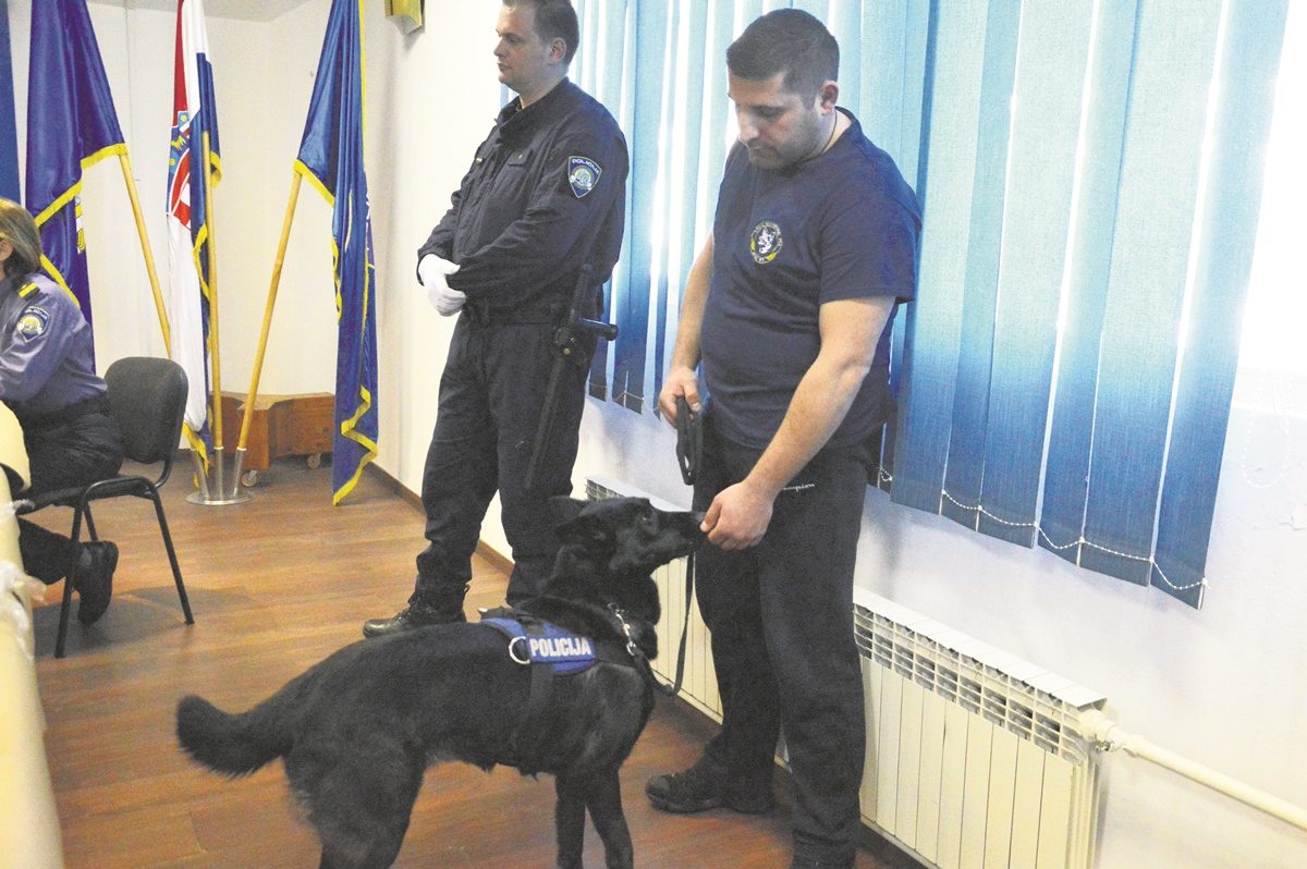 molly pressica policija marihuana 28