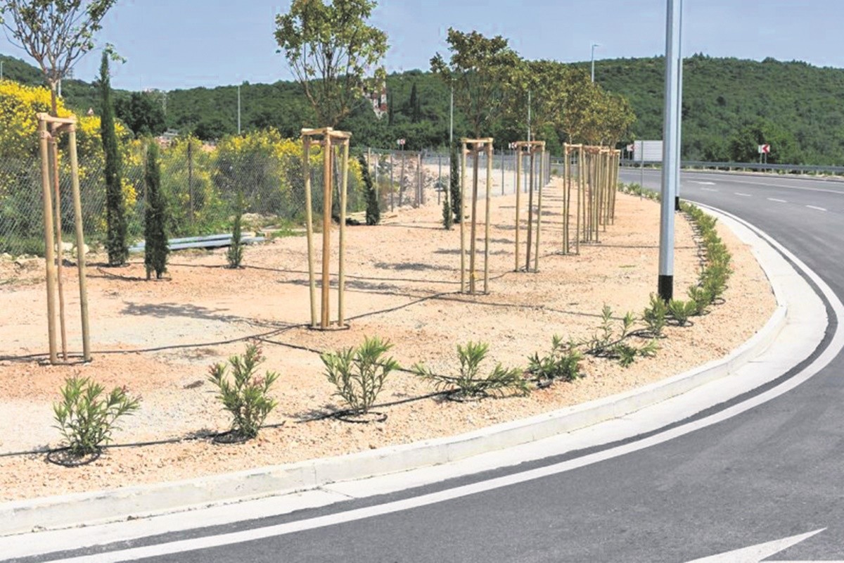 hortikultura raskrizje cavtat 6