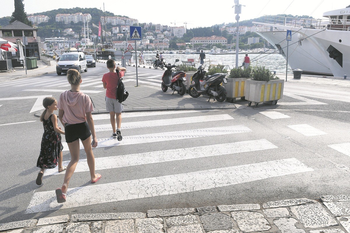 003 20190925zebre zebra pjesacki