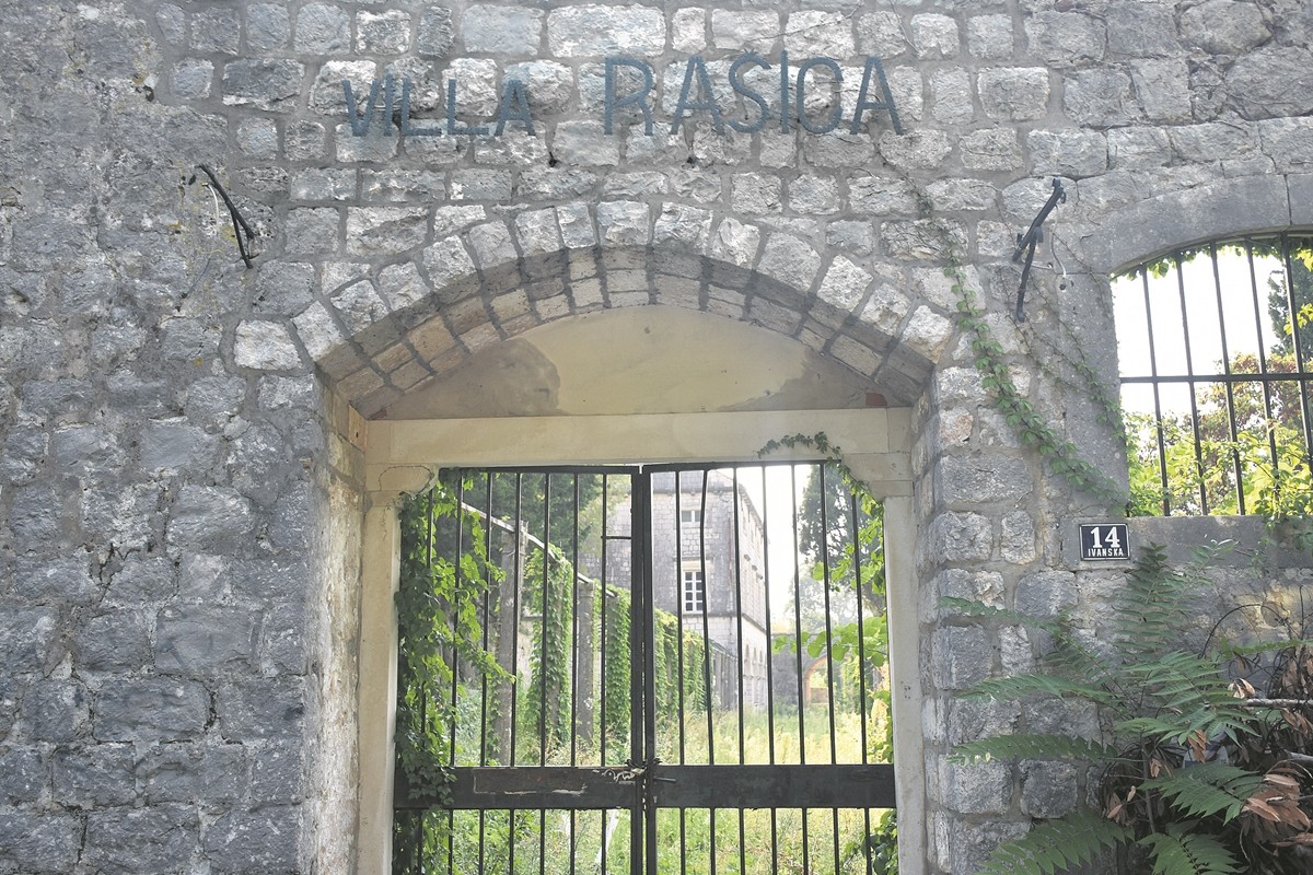 rasica 1
