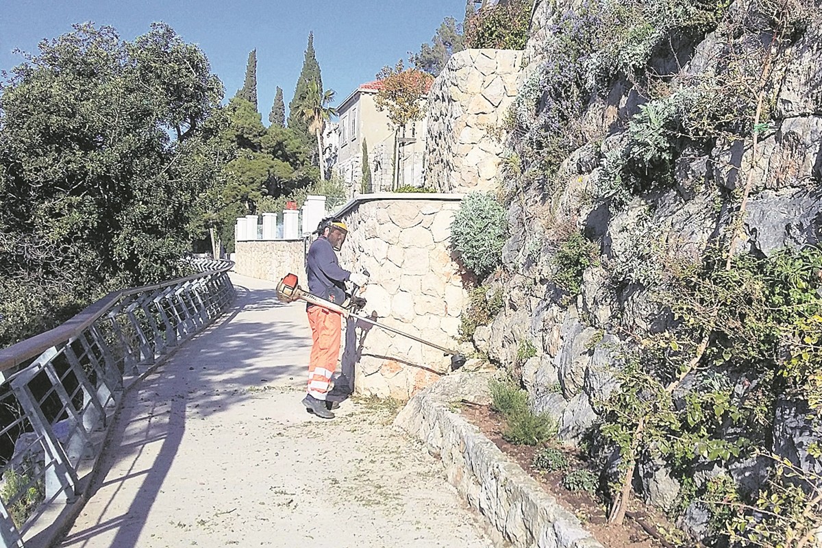 NIM PUCIĆA 1
