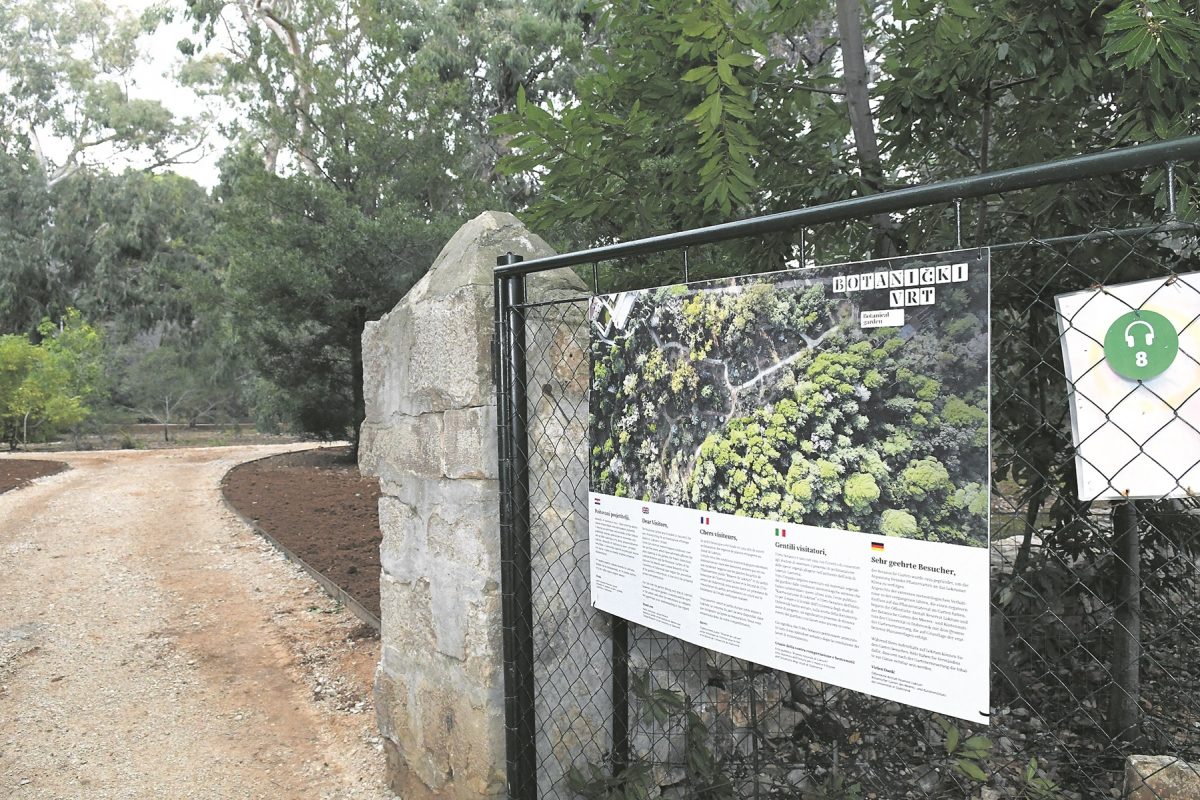 002lokrum botanicki