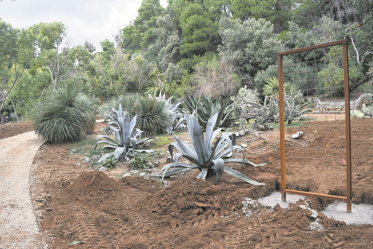 004lokrum botanicki