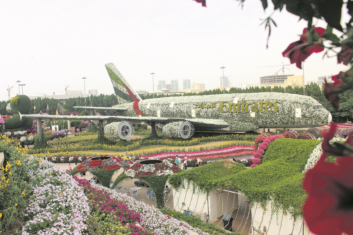 Miracle Garden 2
