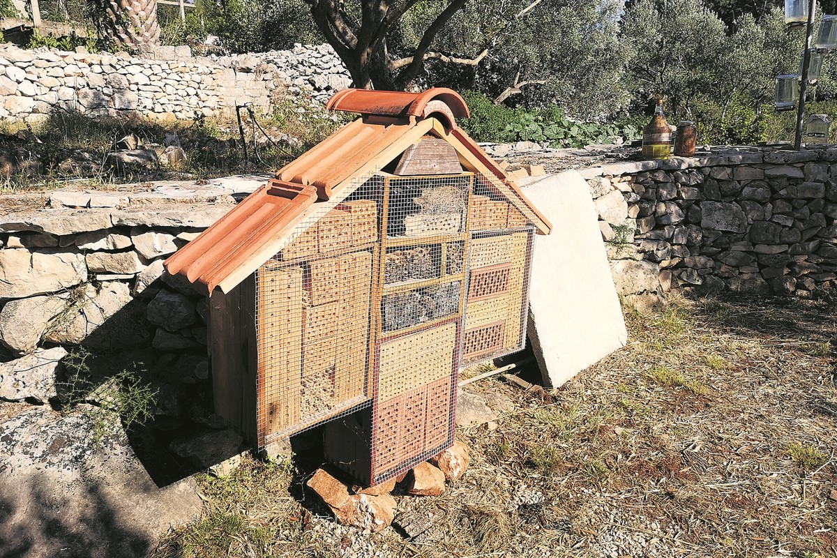 medar vlaho kopmarak 4