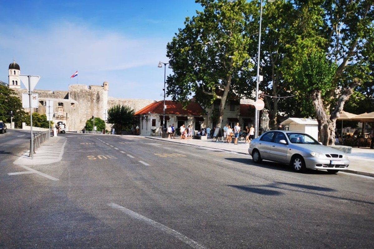 OVAKO PILE DANAS NE IZGLEDAJU! Kruže lažne fotografije i manipulacija o izborima 2 pile 5.7.2020