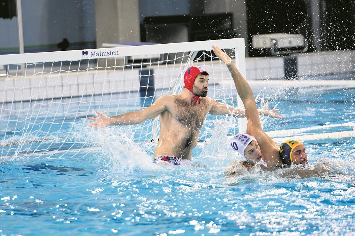 001toni popadic